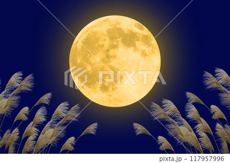 満月とススキが見える秋の夜空の風景 117957996