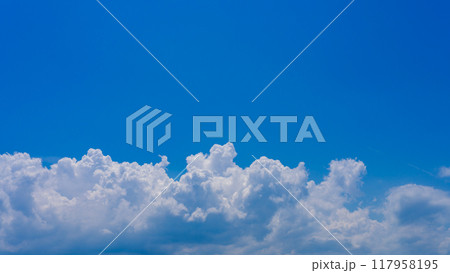 真夏の青空に発生した、積乱雲の雲海 真夏の青空に発生した、積乱雲の雲海 117958195