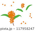 金木犀セット 117958247