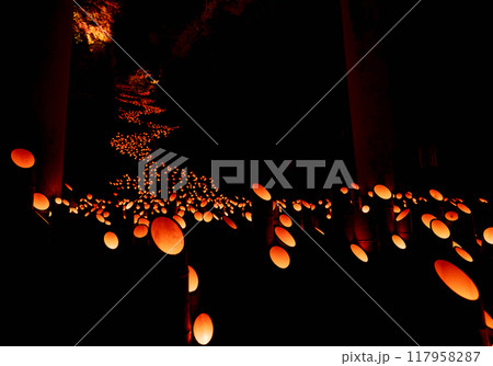 竹田　竹楽　竹灯篭　竹の灯り 117958287