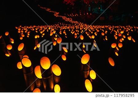 竹田　竹楽　竹灯篭　竹の灯り 117958295
