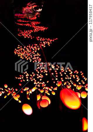 竹田　竹楽　竹灯篭　竹の灯り 117958417