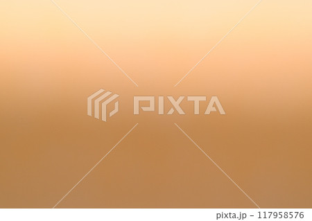 和紙によるボケ味を持つ円柱【背景素材】 117958576