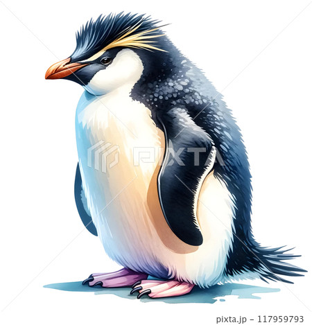 Rockhopper penguin 117959793