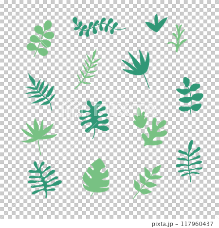 Leaf illustration set 117960437