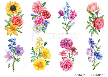 Flowers, branch leaves, buds on white background, watercolor illustration, floral clipart arrangements, wedding design 117960546