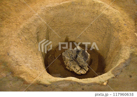 大型堀立柱建物跡　三内丸山遺跡 117960638