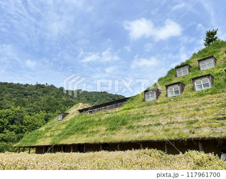 青空の下に広がる長閑な風景 117961700
