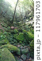 苔の生えた岩と光 117961703