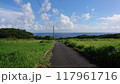 海へ続く道と電線 117961716