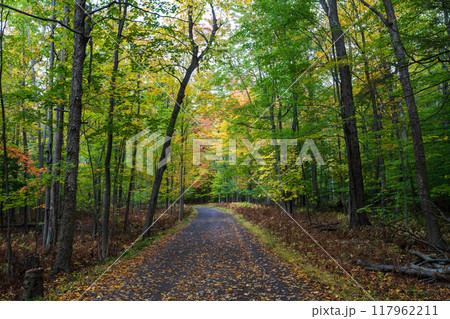 Mont-Saint-Bruno National Park autumn forest trail. Saint-Bruno-de-Montarville, Quebec, Canada. Mont-Saint-Bruno National Park autumn forest trail. Saint-Bruno-de-Montarville, Quebec, Canada. 117962211