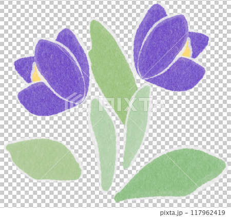 purple flower Shredded paper 117962419