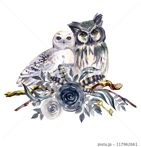 Owl Couple Watercolor isolated on white background. Watercolour Wizard Bird Art illustration Owl Couple Watercolor isolated on white background. Watercolour Wizard Bird Art illustration 117962661
