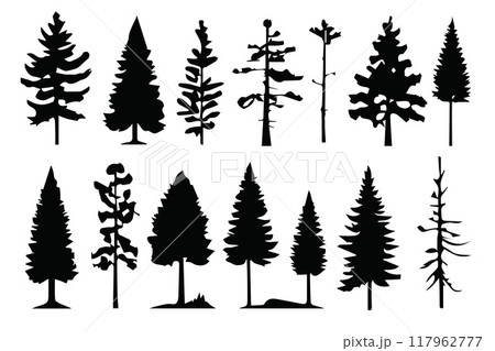 Silhouette various pines trees collections.Vector illustration Silhouette various pines trees collections.Vector illustration 117962777