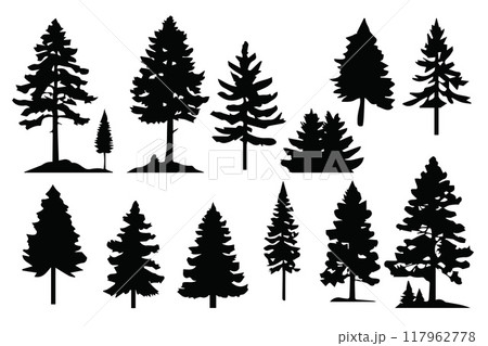 Silhouette pines trees collections.Vector illustration Silhouette pines trees collections.Vector illustration 117962778