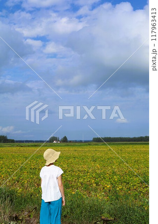 初夏、夏、初秋、北海道、十勝平野、帯広付近、士幌、士幌の畑、広い畑、地平線、気分爽快、旅女子 117963413