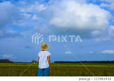 初夏、夏、初秋、北海道、十勝平野、帯広付近、士幌、士幌の畑、広い畑、地平線、気分爽快、旅女子 117963418