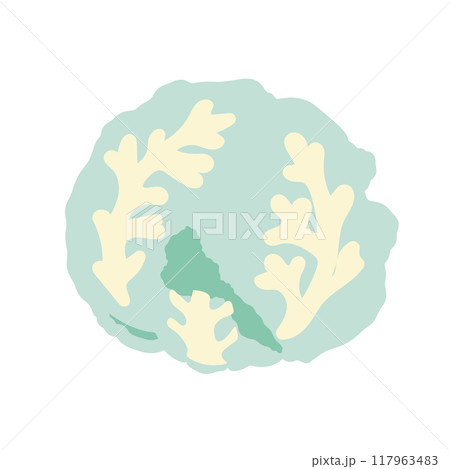 キャベツ　イラスト 117963483