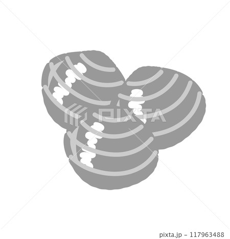 アサリ　貝　イラスト 117963488