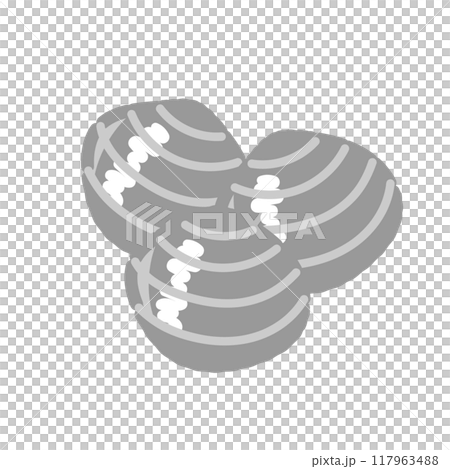 アサリ　貝　イラスト 117963488