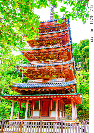京都、海住山寺の五重塔 117963713