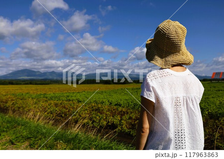 初夏、夏、初秋、北海道、十勝平野、帯広付近、上士幌、大雪山国立公園、女子旅、大雪山 初夏、夏、初秋、北海道、十勝平野、帯広付近、上士幌、大雪山国立公園、女子旅、大雪山 117963863
