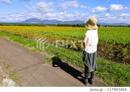 初夏、夏、初秋、北海道、十勝平野、帯広付近、上士幌、大雪山国立公園、女子旅、大雪山 初夏、夏、初秋、北海道、十勝平野、帯広付近、上士幌、大雪山国立公園、女子旅、大雪山 117963868