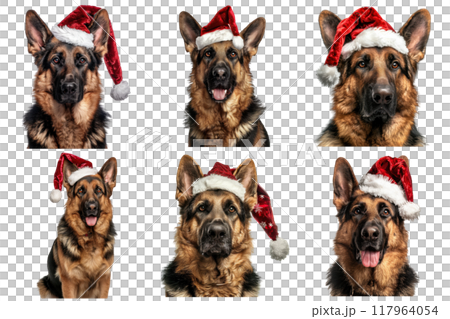 Six German Shepherd Dogs Wearing Santa Hats 117964054