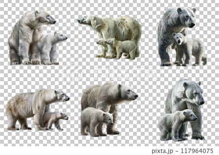 Six Polar Bear Mothers and Their Cubs 117964075