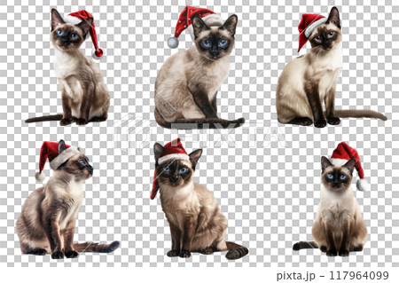 Six Siamese Cats Wearing Santa Hats, Isolated on White 117964099