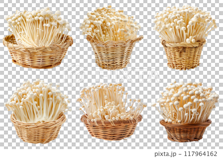 Six Baskets of White Enoki Mushrooms on a White Background Six Baskets of White Enoki Mushrooms on a White Background 117964162