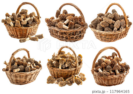 Six Wicker Baskets Filled with Morels Six Wicker Baskets Filled with Morels 117964165