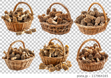 Six Wicker Baskets Filled with Morels Six Wicker Baskets Filled with Morels 117964165