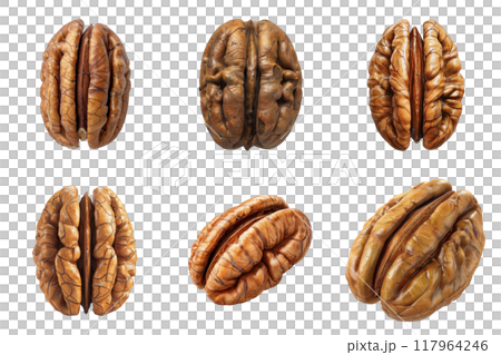 Six Pecan Nuts in Various Positions Six Pecan Nuts in Various Positions 117964246