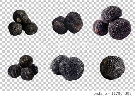 Close-up Images of Black Truffles in Various Arrangements 117964395