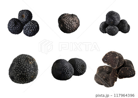 Black Truffles Isolated on White Background 117964396