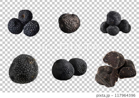 Black Truffles Isolated on White Background 117964396
