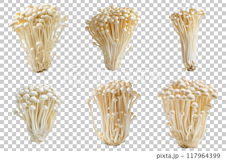 Six Bunches of Fresh White Enoki Mushrooms Isolated on White Background 117964399