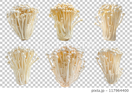 Six Clusters of Fresh Enoki Mushrooms on a White Background 117964400