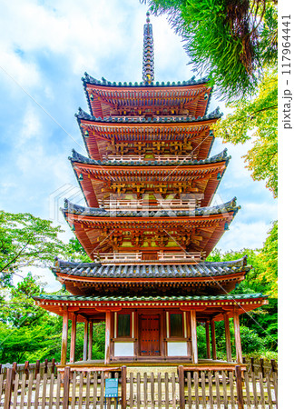 京都、海住山寺の五重塔 117964441