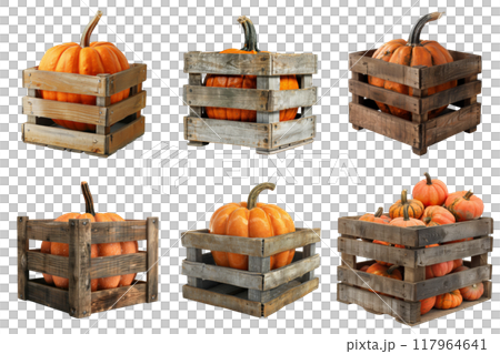 Pumpkins in Wooden Crates, Various Sizes and Quantities 117964641