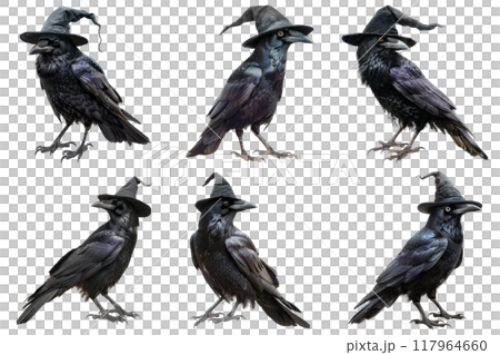 Six Black Crows Wearing Witch Hats 117964660