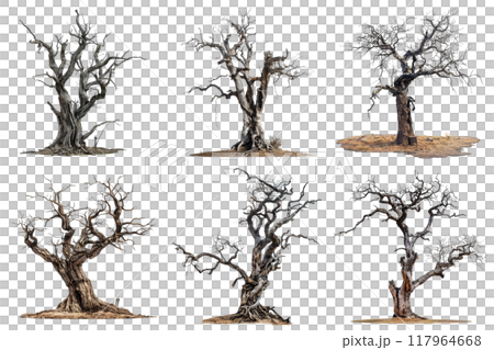 Six Bare Trees With Distorted Multicolored Backgrounds 117964668