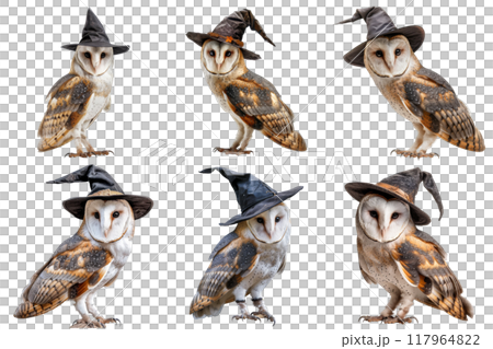 Six Barn Owls Wearing Witch Hats 117964822