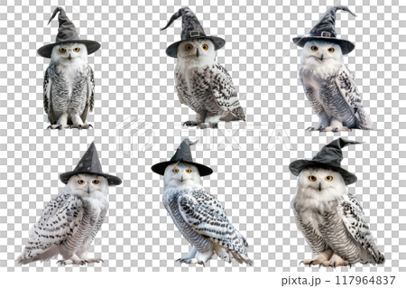 Six Snowy Owls Wearing Witch Hats with Distorted Backgrounds 117964837