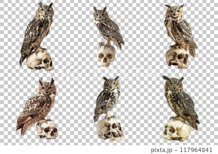 Six Great Horned Owls Perched on Skulls 117964841
