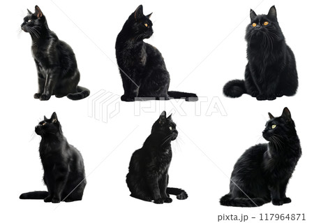 Six Black Cats Sitting in Various Poses 117964871