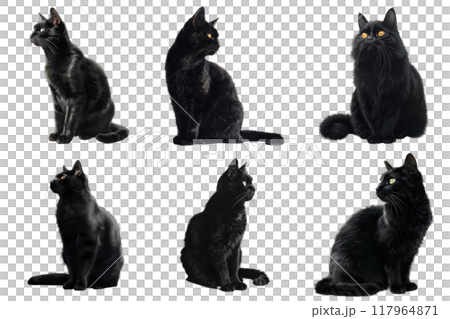 Six Black Cats Sitting in Various Poses 117964871