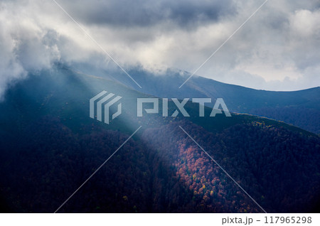 Dramatic landscape featuring lush green mountain bathed in soft sunlight, contrasting with vibrant autumnal foliage of forest below. Thick clouds hover above, casting shadows. 117965298