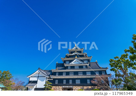 岡山市 青空に映える岡山城天守 岡山市 青空に映える岡山城天守 117965349